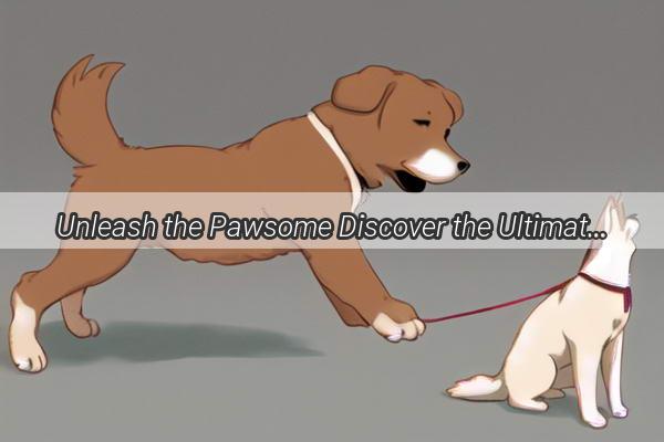 Unleash the Pawsome Discover the Ultimate List of Doggie MustHaves for Your Furry Friend